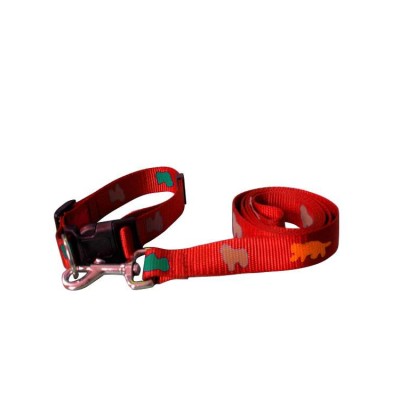 Fekrix Premium Print Leash with Collar Red 1 Inch
